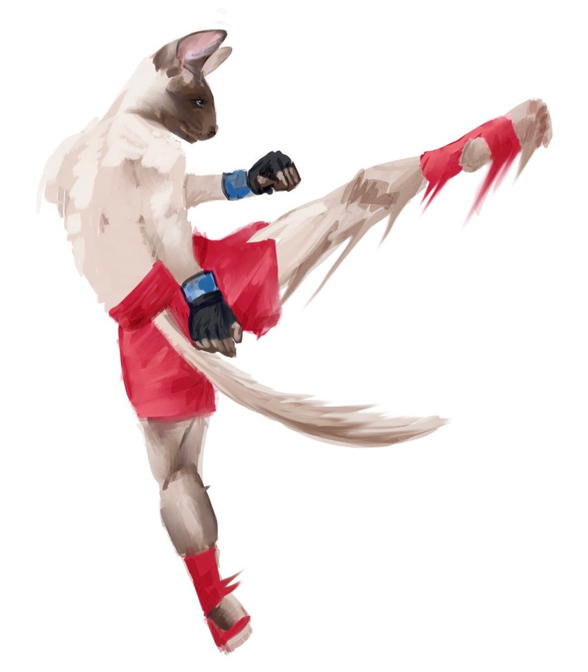 ankle_bracers anthro blue_eyes boxing_shorts clothing fingerless_gloves fur gloves handwear kick looking_ahead male martial_arts motion_blur motion_lines rear_view simple_background solo tan_body tan_fur white_background banoncat domestic_cat felid feline felis mammal siamese 2023 hi_res