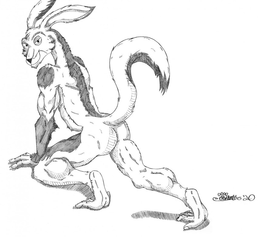 anthro butt fur half-closed_eyes looking_at_viewer looking_back male mouth_closed narrowed_eyes nude pose raised_tail smile smiling_at_viewer smirk solo tail marcushunter storm_hawks radarr mammal 2020 monochrome signature