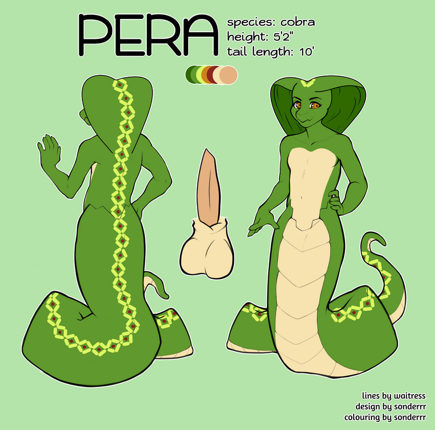 anthro apode balls big_balls big_penis genitals green_body green_scales legless male markings penis scales serpentine snake_hood solo text sonderrr pera cobra draconcopode naga reptile scalie snake 2019 digital_drawing_(artwork) digital_media_(artwork) english_text hi_res model_sheet