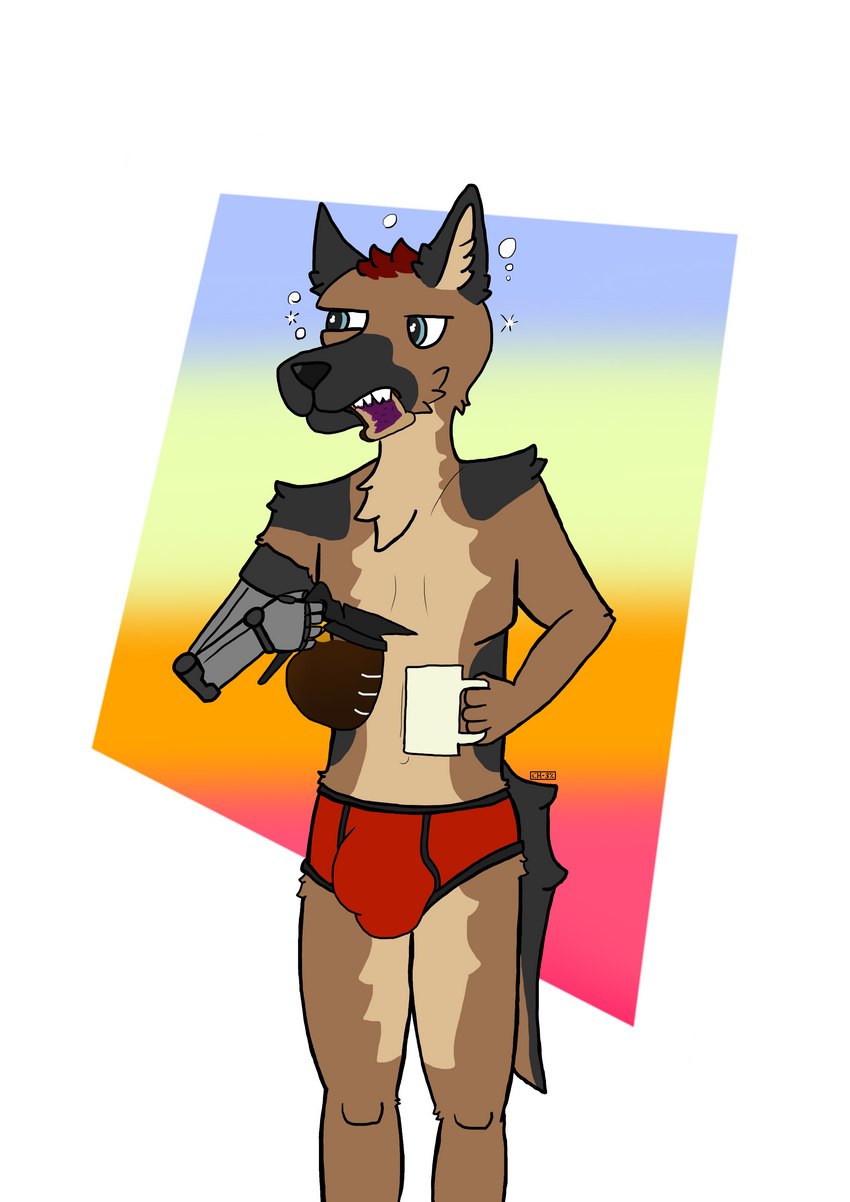 1000_hours_in_ms_paint anthro beverage bulge clothing coffee coffee_mug detailed_bulge male morning solo underwear chez_(artist) chez canid canine canis domestic_dog german_shepherd herding_dog mammal pastoral_dog absurd_res hi_res