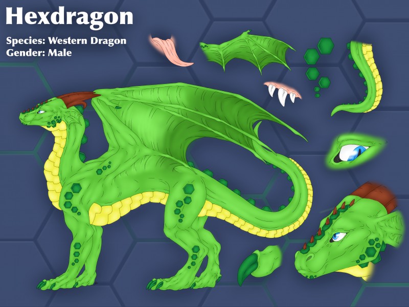 blue_eyes feral hexagons male solo tail text wings aku_(artist) mythology hexdragon dragon mythological_creature mythological_scalie scalie absurd_res english_text hi_res model_sheet