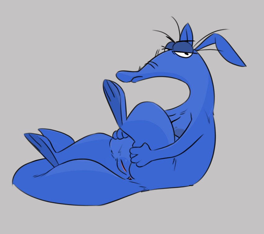 angry anthro anus blue_body breasts crossgender female genitals grey_background half-closed_eyes looking_at_viewer narrowed_eyes nude one_leg_up pussy raised_leg simple_background sitting solo noodlestoat pink_panther_(series) the_ant_and_the_aardvark blue_aardvark aardvark mammal 2023 hi_res