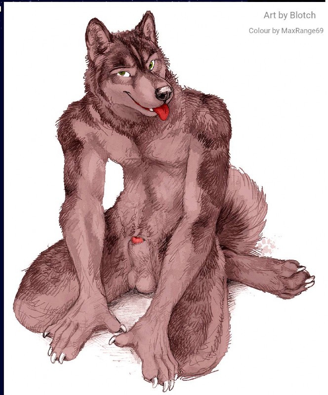 anatomically_correct animal_genitalia animal_penis anthro attached_sheath balls biped canine_genitalia canine_penis claws feet genitals hindpaw kneeling looking_at_viewer male paws penis penis_tip sheath solo blotch maxrange69 canid canine canis domestic_dog husky mammal nordic_sled_dog spitz 2019 detailed hi_res