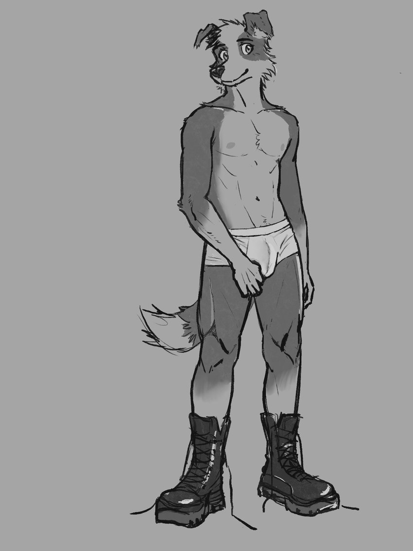 anthro black_nose boots briefs bulge clothing footwear grey_background male navel nipples shoelaces shoes simple_background smile solo underwear white_briefs white_clothing white_underwear drdalefox border_collie canid canine canis collie domestic_dog herding_dog mammal pastoral_dog sheepdog 3:4 greyscale hi_res monochrome