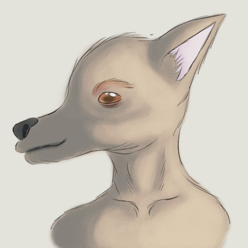 anthro black_nose brown_body brown_eyebrows brown_fur eyebrows fur male orange_eyes solo jubb canid canine mammal 1:1 2018 bust_portrait hi_res portrait signature