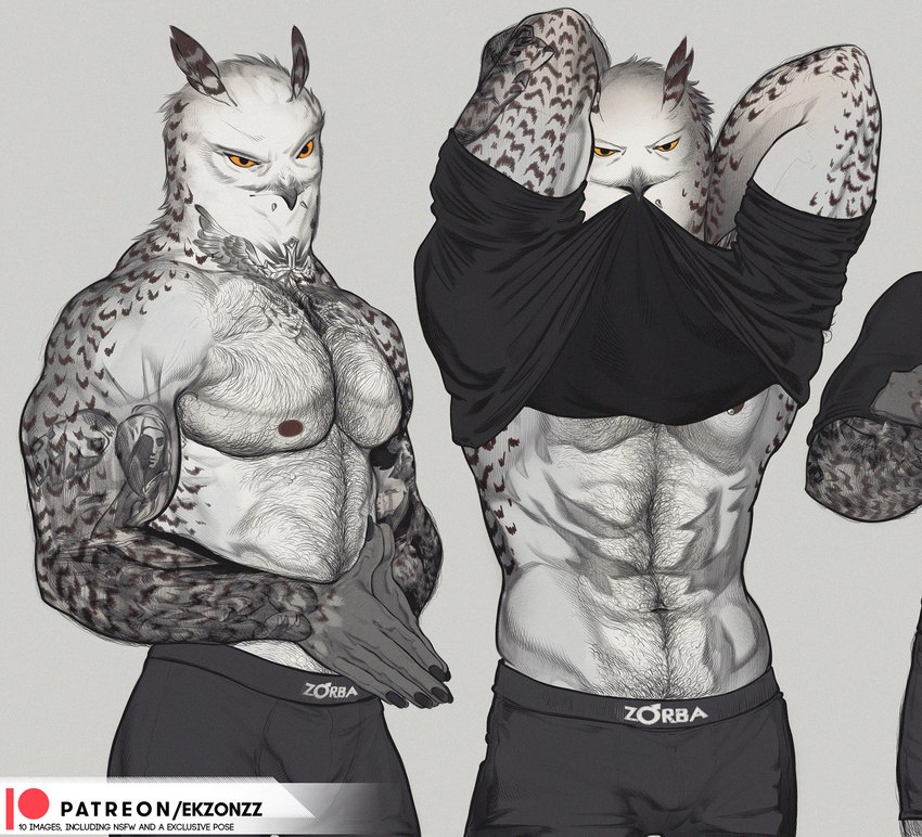 anthro beak body_hair boxers_(clothing) chest_hair clothed clothing clothing_lift feathers hairy humanoid_hands male manly muscular muscular_anthro muscular_male pecs shirt shirt_in_mouth shirt_lift sleeve_tattoo solo text topwear underwear white_body white_feathers yellow_eyes ekzonzz avian bird horned_owl owl snowy_owl true_owl english_text hi_res