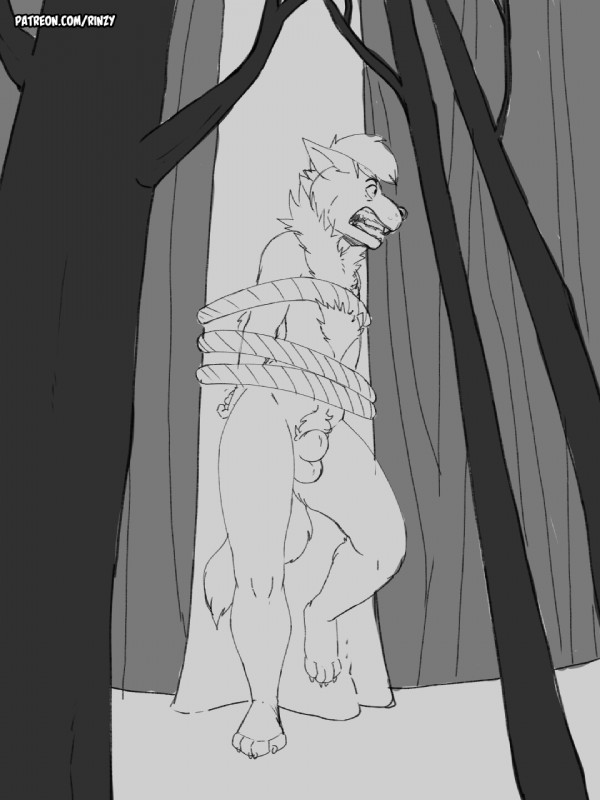 animal_genitalia anthro balls bound genitals male nude outside plant rope sheath solo tree rinzy hyena mammal 2019 3:4 hi_res monochrome signature sketch