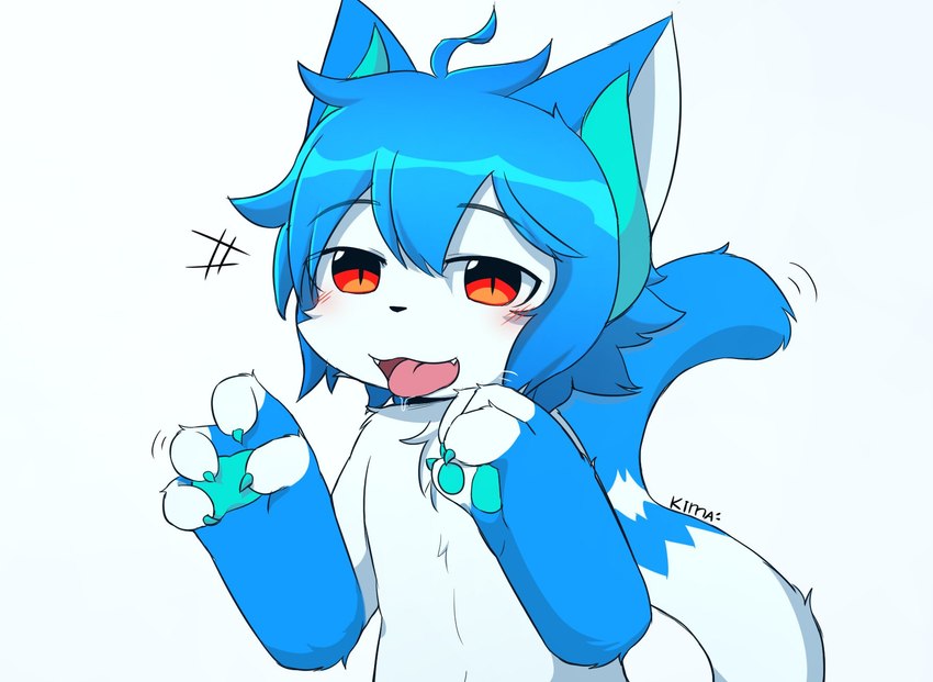 anthro black_nose blue_body blue_claws blue_fur blue_hair blue_pawpads blush bodily_fluids cheek_tuft chest_tuft claws facial_tuft fangs fur hair looking_at_viewer male multicolored_eyes open_mouth orange_eyes pawpads paws pupils red_eyes saliva simple_background slit_pupils solo teeth tongue tongue_out tuft two_tone_eyes white_background white_body white_fur young young_anthro kimacats devy_(devil-vox) domestic_cat felid feline felis mammal hi_res signature