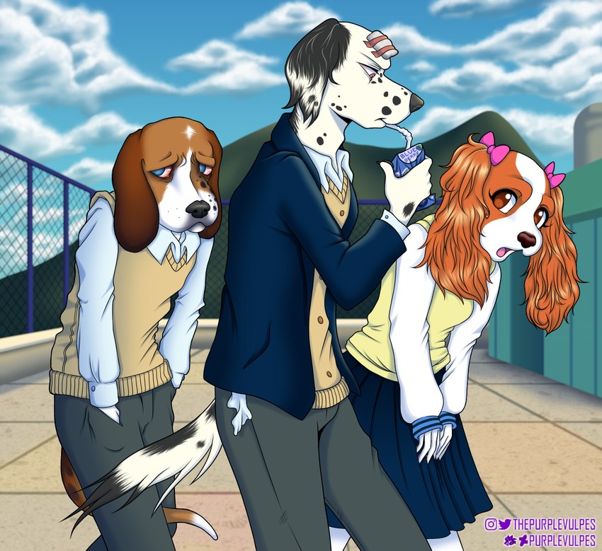 blueberry_(fruit) bottomwear bow_(feature) bow_accessory brown_body brown_fur clothing drinking ear_bow female food fruit fur group high_school male open_mouth outside plant rooftop school school_uniform skirt student tail tail_between_legs twin_bows twin_ear_bows uniform white_body white_fur purplevulpes beagle bird_dog border_collie canid canine canis cavalier_king_charles_spaniel collie dalmatian domestic_dog herding_dog hunting_dog mammal mixed_breed pastoral_dog scent_hound sheepdog spaniel toy_dog