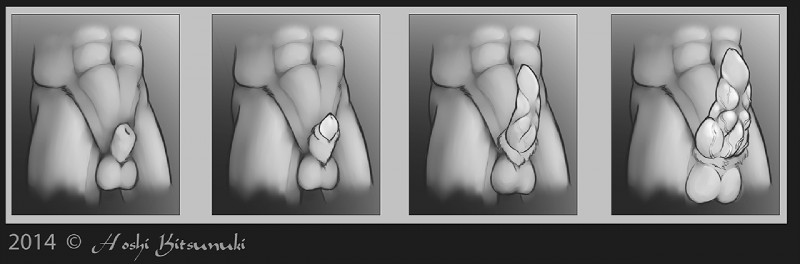 animal_genitalia anthro crotch_shot erection genital_shot genitals half-erect knot male nude penis penis_shot penis_tip progression sheath solo unusual_anatomy unusual_genitalia unusual_penis hoshi_kitsunuki kurin alien sarseian 2014 greyscale model_sheet monochrome