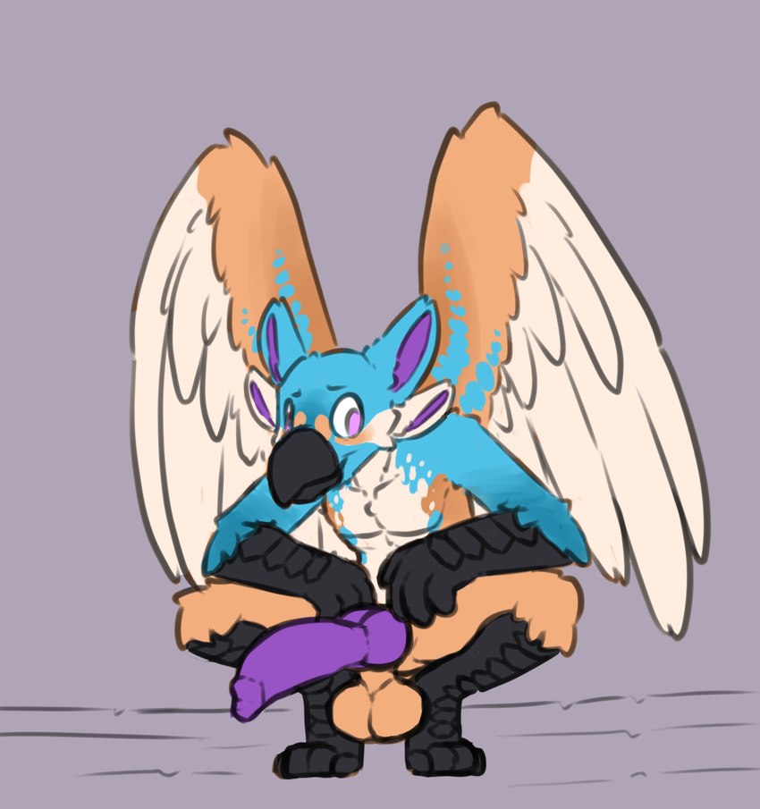 4_ears 4_fingers 4_toes animal_genitalia animal_penis anthro balls beak big_balls big_penis black_arms black_beak black_legs blue_body blue_fur canine_genitalia canine_penis countershading crouching digitigrade facial_markings feathered_wings feathers feet fingers fur genitals gradient_fur head_markings knot knotted_penis looking_away male markings multi_ear multicolored_body orange_body orange_fur penis purple_eyes purple_penis scuted_arms scuted_feet scuted_hands scuted_legs scutes simple_background solo spread_legs spreading talon_hands toes white_body white_fur wings sarek_aran_desian wist_(thatbird) avian bird common_kingfisher coraciiform kingfisher hi_res