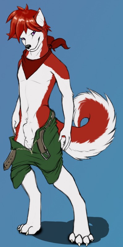 animal_genitalia anthro balls belt bottomwear clothing fully_sheathed genitals kerchief male nude pose sheath shorts solo tail undressing zipper jerbie cenny canid canine canis domestic_dog husky mammal nordic_sled_dog spitz hi_res