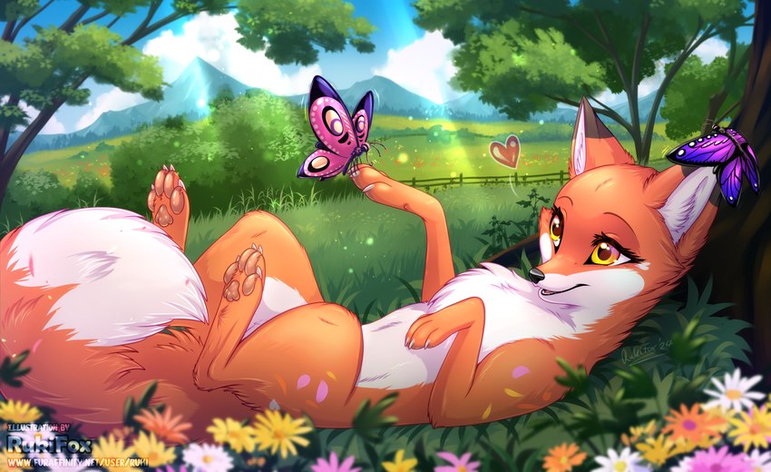 aster_(flower) belly dipstick_ears dipstick_tail ear_markings feral flower fur lying markings multicolored_ears on_back orange_body orange_fur outside pawpads paws plant tail tail_markings white_belly rukifox abby_(rukifox) arthropod butterfly canid canine fox insect lepidopteran mammal