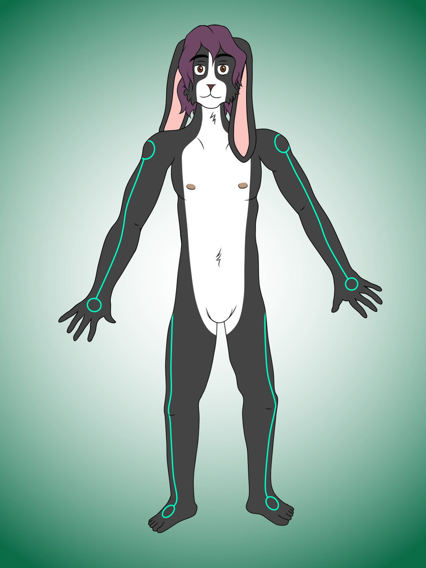 anthro black_body brown_eyes cybernetics featureless_crotch femboy floppy_ears hair machine male markings nipples purple_hair solo white_body quantum_lapiz theo_nyx domestic_rabbit dutch_rabbit lagomorph leporid mammal oryctolagus rabbit 3:4 hi_res model_sheet nonbinary_(lore)