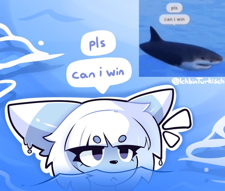 anthro blue_body blue_fins eyebrow_through_hair eyebrows female hair multicolored_ears partially_submerged solo translucent translucent_hair water white_fins white_hair ichbinturkisch roblox sharkbite_(roblox) fish marine shark meme