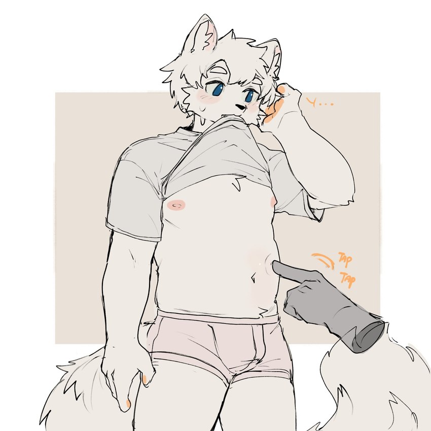 anthro biped blue_eyes blush bodily_fluids clothed clothing clothing_lift duo fur male nipples pink_nipples poking_stomach shirt shirt_lift solo_focus sweat sweatdrop topwear white_body white_fur mintza_bo canid canine canis mammal wolf 1:1 2024 hi_res