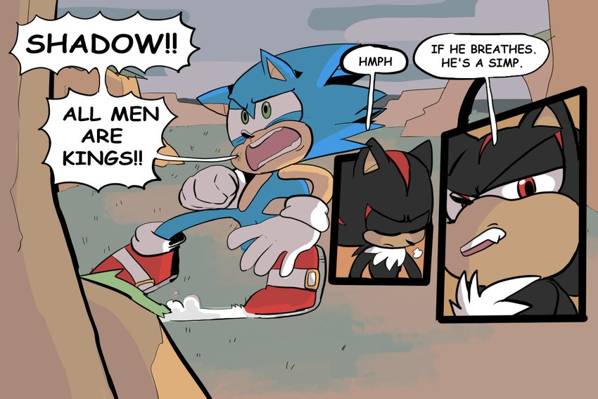 anthro black_body black_fur blue_body blue_fur clothing dialogue duo eyes_closed footwear fur gloves green_eyes half-closed_eyes handwear male narrowed_eyes open_mouth outside red_body red_eyes red_fur shoes speech_bubble standing text soleildiddle sega sonic_the_hedgehog_(series) shadow_the_hedgehog sonic_the_hedgehog eulipotyphlan hedgehog mammal 2020 3:2 comic_sans english_text meme