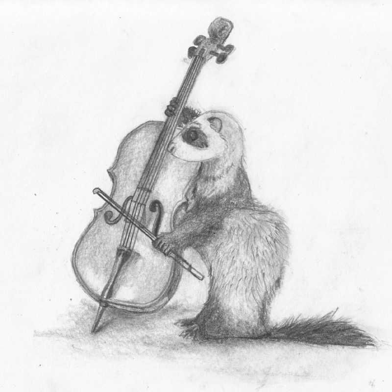 ambiguous_gender bow_(stringed_instrument) bowed_string_instrument cello feral fur music musical_instrument simple_background solo string_instrument white_background foxia domestic_ferret mammal mustelid musteline true_musteline weasel 1:1 greyscale monochrome