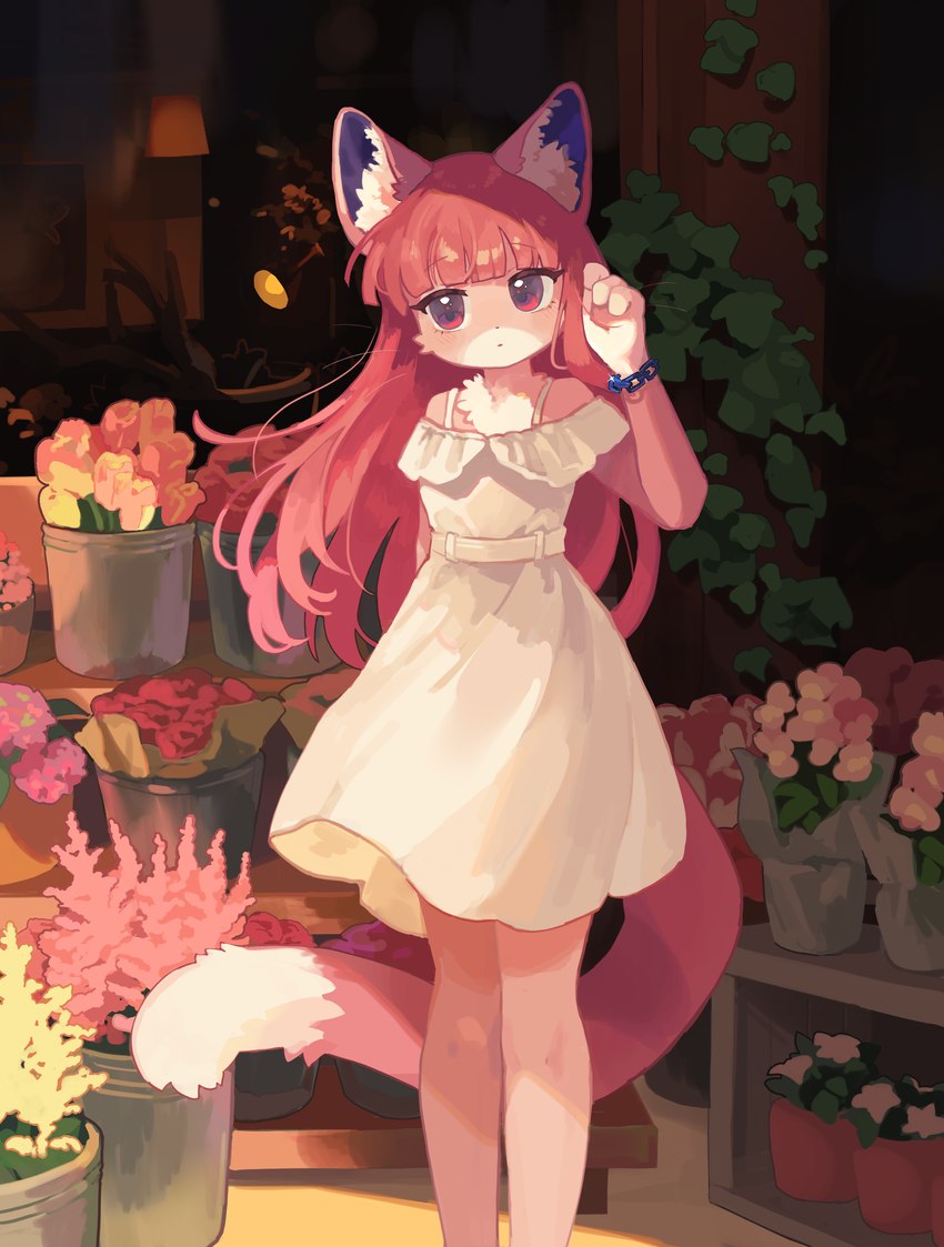 4_fingers anthro biped bracelet clothed clothing detailed_background dipstick_tail dress eyelashes female female_anthro fingers flower front_view fully_clothed fur gloves_(marking) greenhouse hair humanoid_hands inner_ear_fluff inside ivy_(plant) jewelry kemono lamp long_hair looking_at_viewer markings multicolored_body multicolored_ears multicolored_fur multicolored_tail night pink_body pink_ears pink_eyes pink_fur pink_hair pink_tail plant plant_pot potted_plant purple_inner_ear rose_(flower) solo standing sundress tail tail_markings tuft two_tone_body two_tone_fur two_tone_tail vivarium white_body white_clothing white_dress white_fur white_inner_ear_fluff white_tail white_tail_tip gomafuto domestic_cat felid feline felis mammal 2023 absurd_res colored digital_media_(artwork) hi_res portrait shaded three-quarter_portrait warm_colors