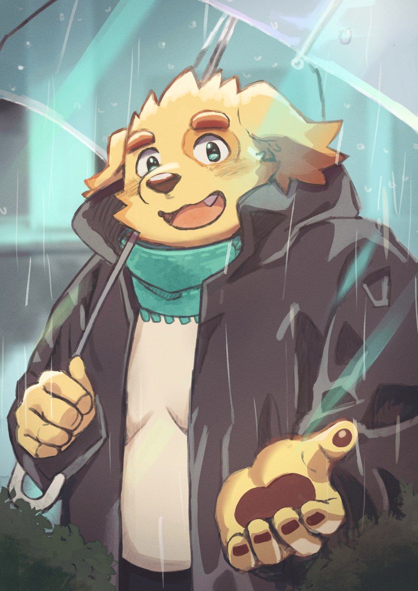 anthro bottomwear clothed clothing cute_fangs eyebrows fangs jacket kemono male outside overweight overweight_anthro overweight_male pants raining scarf shirt solo teeth topwear umbrella shimo_kawa celtic_mythology european_mythology lifewonders mythology tokyo_afterschool_summoners cu_sith_(tas) canid canine canis cu-sith domestic_dog mammal mythological_canine mythological_creature spectral_dog spirit 2021 hi_res