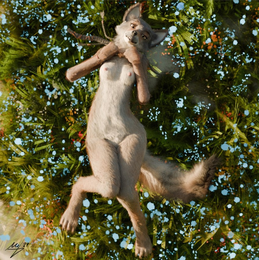 anthro caught female fur grass lying nature nature_background nude plant pose posing_for_picture solo reaching_art naala canid canine canis mammal wolf 3d_(artwork) digital_media_(artwork) hi_res