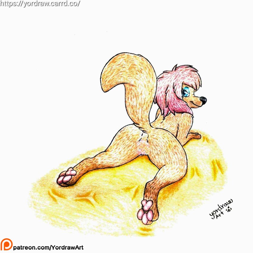 bent_legs black_nose blue_eyes brown_body brown_fur butt butt_fetish butt_focus crotch_lines feet female feral foot_focus fur hindpaw looking_at_viewer looking_back lying lying_on_ground on_front on_ground patreon_logo patreon_username pawpads paws pink_pawpads raised_tail satisfaction satisfied_look smile smiling_at_viewer solo spread_legs spreading tail text yordraw disney oliver_and_company patreon rita_(disney) canid canine canis domestic_dog mammal hi_res url