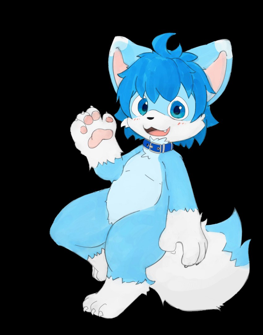 3_toes 4_fingers anthro blue_body blue_eyes blue_fur blue_hair blush cape clothing collar fangs feet fingers fur gesture hair kemono male open_mouth simple_background smile solo teeth toes transparent_background unfinished_version waving young ak9sa akakusa third-party_edit mikey_(mikey_fox) canid canine fox mammal alpha_channel hi_res