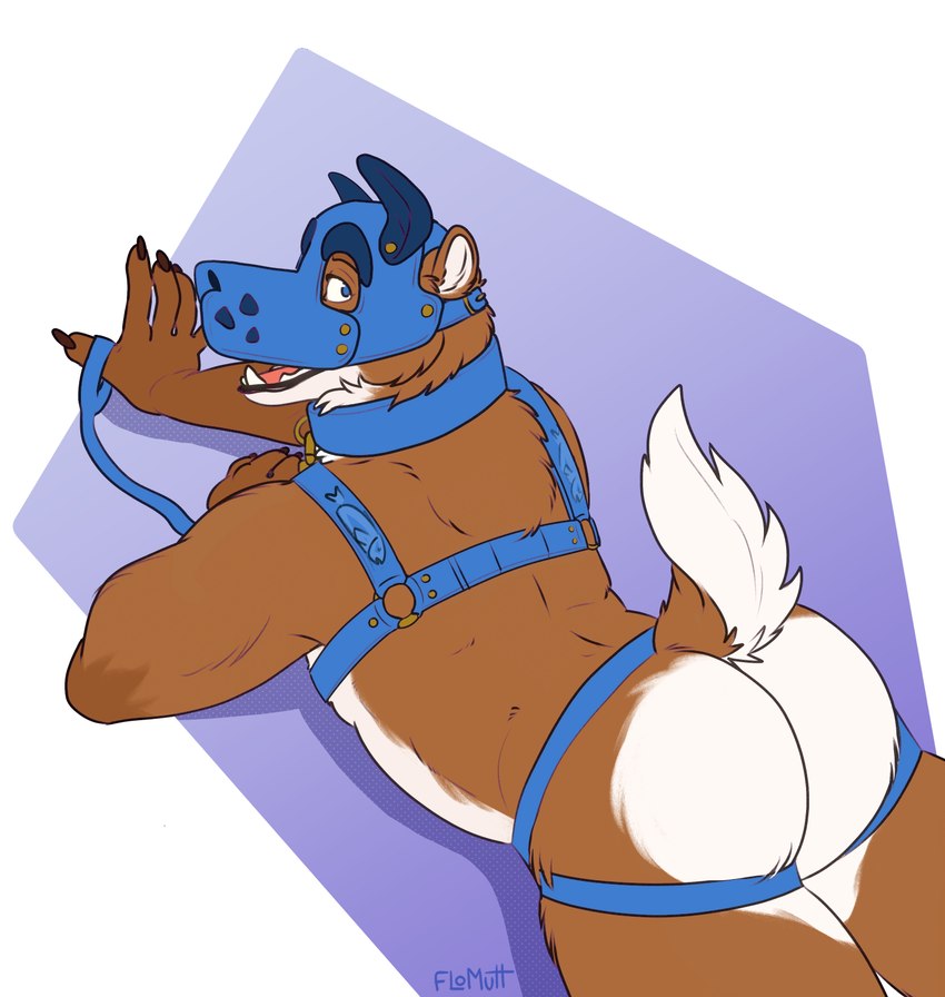 animal_mask anthro blue_clothing blue_collar blue_harness blue_jockstrap blue_leash blue_pup_mask blue_underwear clothing collar harness jockstrap leash leashed_collar male mask open_mouth pup_mask scut_tail short_tail solo tail underwear floyote mishka_(fishymishy) bear deer hybrid mammal hi_res