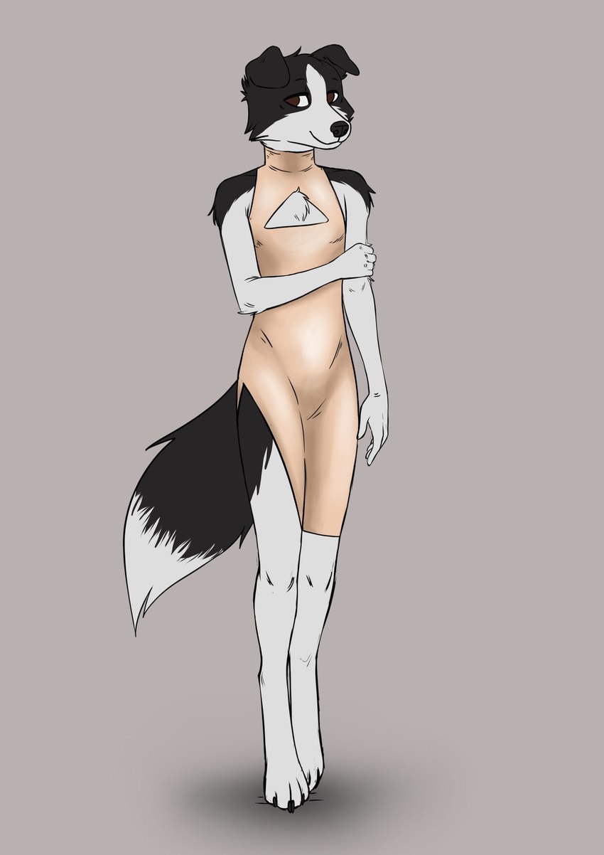 anthro brown_background brown_clothing brown_dress brown_eyes clothed clothed_anthro clothed_female clothing countershade_face countershade_legs countershade_torso countershading crossdressing digitigrade dipstick_tail dress female female_anthro high_collar holding_own_arm looking_at_viewer looking_away male markings pose side_slit simple_background smile smiling_at_viewer solo standing tail tail_markings three-quarter_view squigor border_collie canid canine canis collie domestic_dog herding_dog mammal pastoral_dog sheepdog brown_theme digital_drawing_(artwork) digital_media_(artwork) full-length_portrait hi_res portrait warm_colors