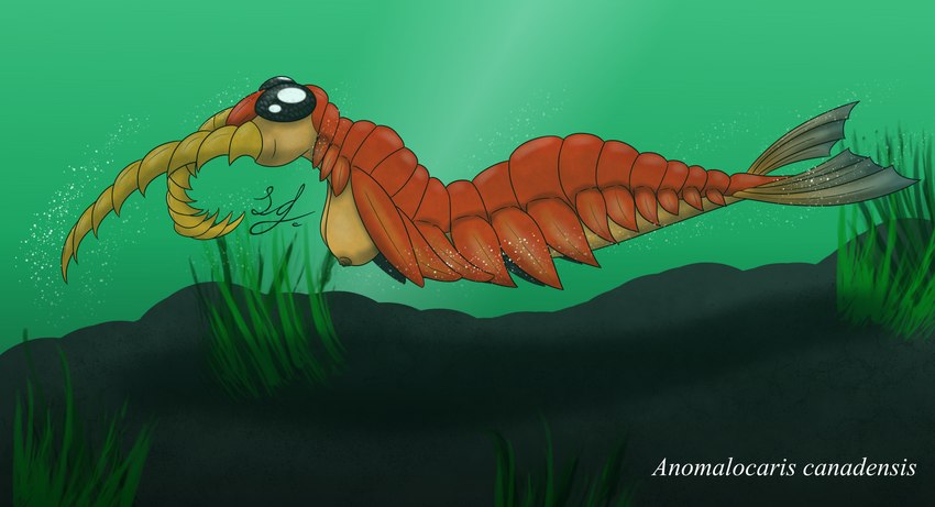 anthro breasts compound_eyes exoskeleton female fin kelp limbless nipples orange_body solo underwater water lindwormduality anomalocarid anomalocaris arthropod humanoid marine prehistoric_species absurd_res hi_res