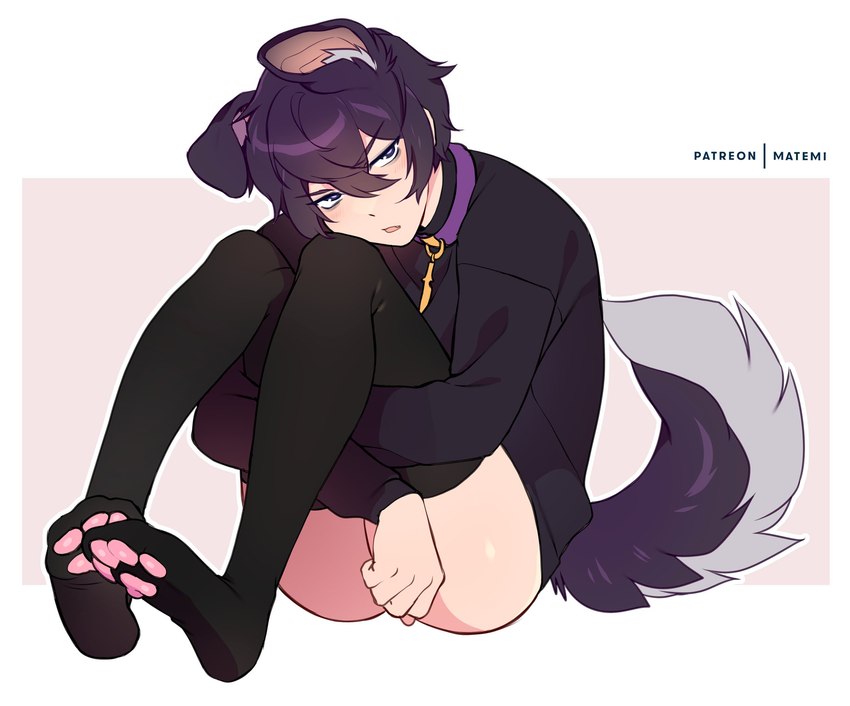 alternative_fashion black_clothing clothed clothing collar emo femboy hair inner_ear_fluff male partially_clothed paw_socks solo tail tuft matemi toebeanies shoto_(vtuber) animal_humanoid canid canid_humanoid canine canine_humanoid dog_humanoid humanoid mammal mammal_humanoid hi_res