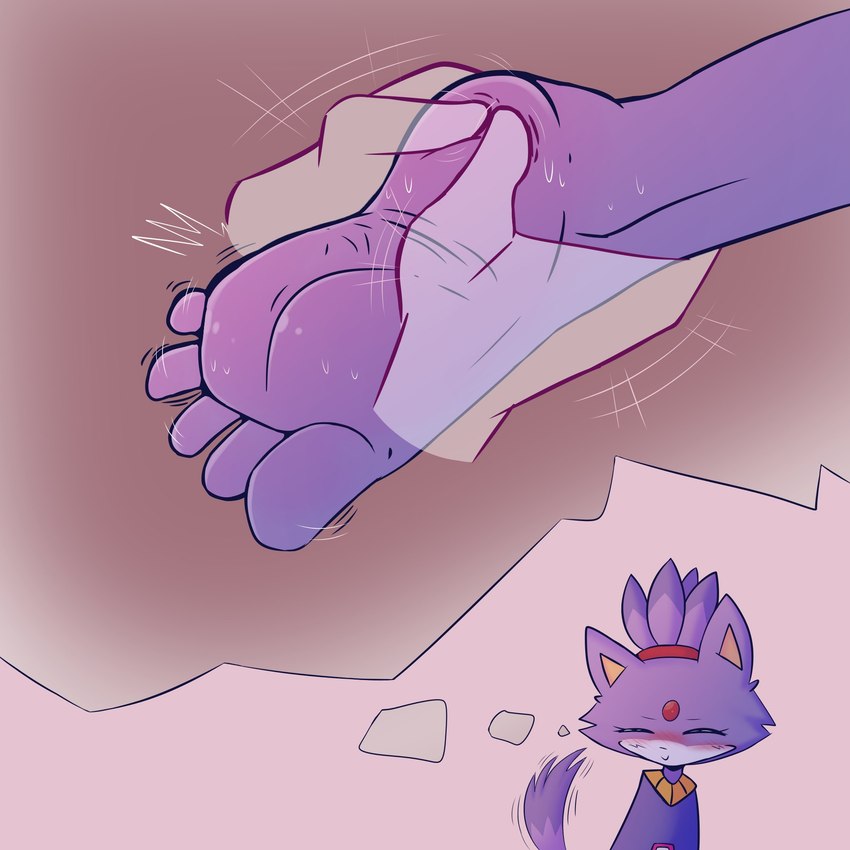 5_toes anthro barefoot clothed clothing disembodied_hand eyes_closed feet female foot_fetish foot_rub foot_shot humanoid_feet plantigrade purple_body soles solo toes dunce-leaf sega sonic_the_hedgehog_(series) blaze_the_cat domestic_cat felid feline felis mammal 1:1 hi_res