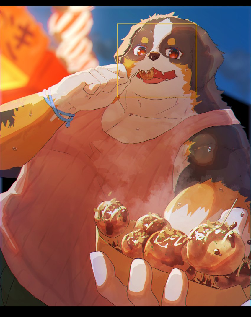 anthro black_bars black_body black_fur brown_body brown_fur clothing eating festival food fur kemono male night outside overweight overweight_male shirt solo topwear white_body white_fur 7gaku_7 bernese_mountain_dog canid canine canis domestic_dog mammal molosser mountain_dog swiss_mountain_dog 2021 hi_res letterbox