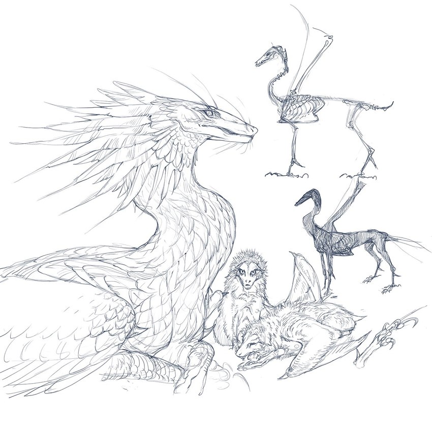 ambiguous_gender feathered_wings feathers feral group solo trio wings nukerooster mythology dragon feathered_dragon feathered_scalie mythological_creature mythological_scalie scalie 1:1 2022 digital_media_(artwork) hi_res multiple_images