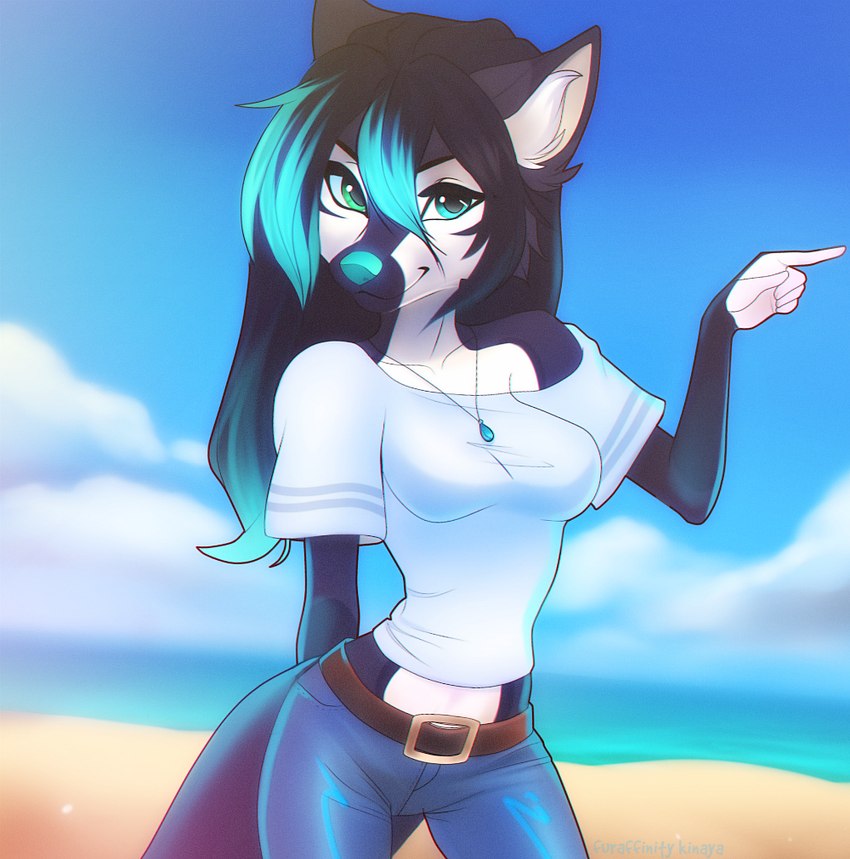 5_fingers anthro beach biped black_body black_fur black_hair blue_bottomwear blue_clothing blue_eyes blue_hair blue_highlights blue_nose blue_pants blue_sky bottomwear clothed clothing cloud countershade_fur countershade_torso countershading day female fingers fur gesture green_eyes hair hand_gesture heterochromia highlights_(coloring) inner_ear_fluff jewelry looking_at_viewer multicolored_hair necklace outside pants pointing sand seaside shirt sky solo tail topwear tuft two_tone_hair white_body white_fur white_inner_ear_fluff layala canid canine mammal 2018 artist_name digital_media_(artwork) shaded