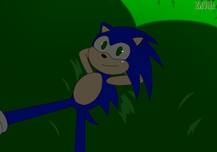 anthro blue_body blue_fur butt_shadow duo fur grass green_eyes imminent_facesitting male plant relaxing smile thin_calves thin_legs thin_thighs zaviel sega sonic_the_hedgehog_(series) amy_rose sonic_the_hedgehog eulipotyphlan hedgehog mammal