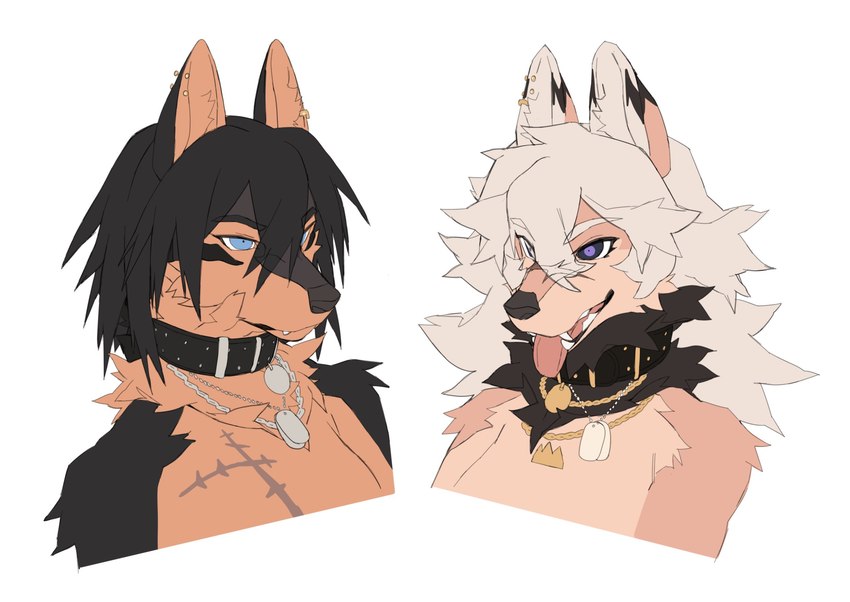 anthro black_hair blue_eyes brown_body brown_fur collar dog_tags duo ear_piercing female fur hair piercing scar simple_background smile tongue tongue_out white_background white_hair telson kuro_(telson) shiro_(telson) canid canine canis mammal wolf 2022 bust_portrait hi_res portrait gynomorph_(lore) sibling_(lore) sister_(lore) sisters_(lore)