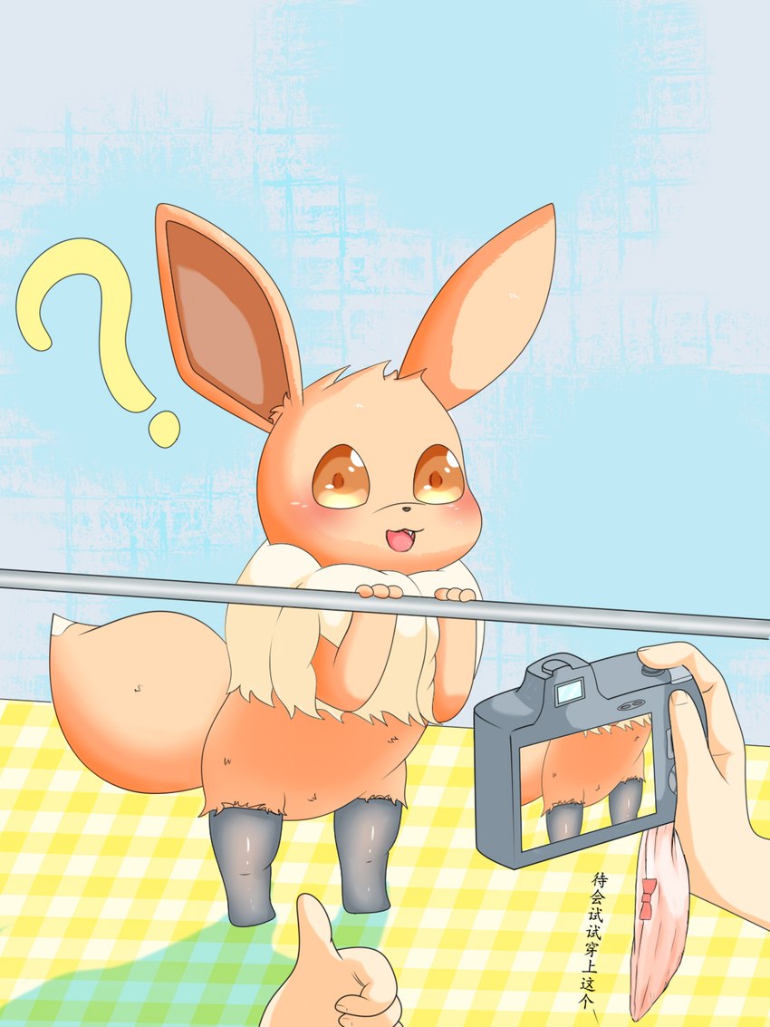 ambiguous_gender blue_background blush brown_body camera clothing duo feral gesture hand_gesture legwear multicolored_body question_mark shadow simple_background stockings text thumbs_up two_tone_body underwear pizzle nintendo pokemon eevee generation_1_pokemon human mammal pokemon_(species) 3:4 chinese_text hi_res