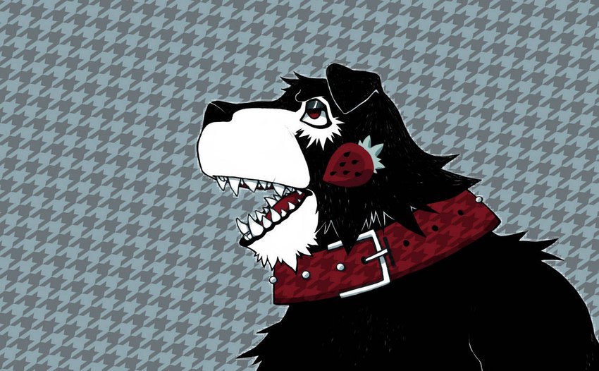 anthro black_body black_fur black_nose collar countershade_face countershading folded_ears food fruit fur glistening_eyelids houndstooth_background houndstooth_pattern male narrowed_eyes open_mouth pattern_background pattern_collar plant red_collar red_eyes red_tongue sharp_teeth side_view simple_background solo spiky_fur strawberry studded_collar studs teeth tongue white_body white_countershading white_fur 888g888 shortcake_(888g888) canid canine canis hybrid mammal wolfdog 2020