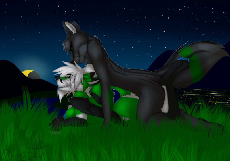 all_fours anthro black_body black_fur blue_nipples breasts detailed_background doggystyle duo feet female from_behind_position fur grass green_body green_eyes green_fur hair hindpaw male male/female moon nipples paws plant sex smile star white_body white_fur white_hair fox_fury absinthy kurai_ookami canid canine canis fox hybrid mammal wolf 2015