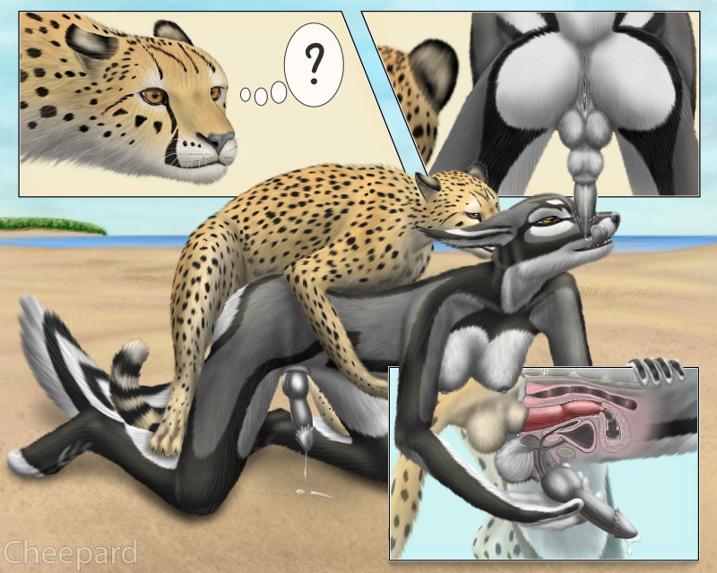 anatomically_correct anatomically_correct_genitalia anatomically_correct_penis animal_genitalia animal_penis anthro anthro_on_feral anthro_penetrated anus backsack balls bestiality black_nipples black_penis black_pussy bodily_fluids breaking_the_fourth_wall breasts butt canine_genitalia canine_penis cum cum_in_pussy cum_inside cum_on_tongue cum_taste detached_sheath duo erection feral feral_penetrating feral_penetrating_anthro genital_fluids genitals handjob herm herm/male herm_on_feral internal intersex intersex/male intersex_on_feral interspecies knot knot_in_sheath licking licking_cum licking_lips male male_on_anthro male_penetrating masturbation nipples oral penetration penile penile_masturbation penile_spines penis penis_lick portal predator/prey presenting pussy question_mark self_taste sex sheath thinking_with_portals tongue tongue_out vaginal vaginal_penetration what yellow_eyes cheepard cheepard_(character) shakkokit canid canine cheetah felid feline fox jex mammal 5:4 absurd_res hi_res smaller_version_at_source