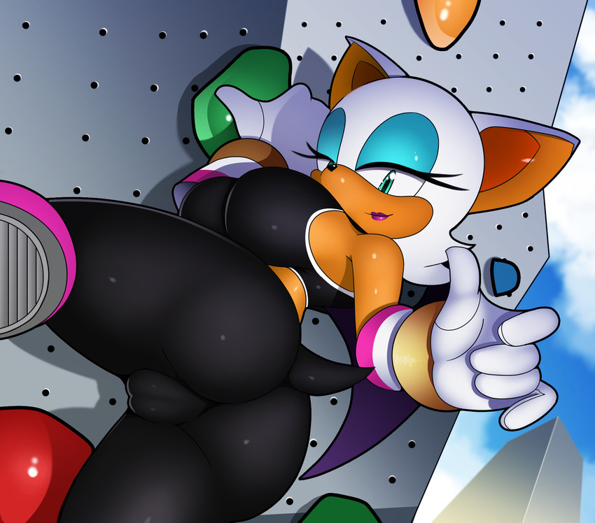 rouge the bat (sonic the hedgehog (series) and etc) created by chacrawarrior