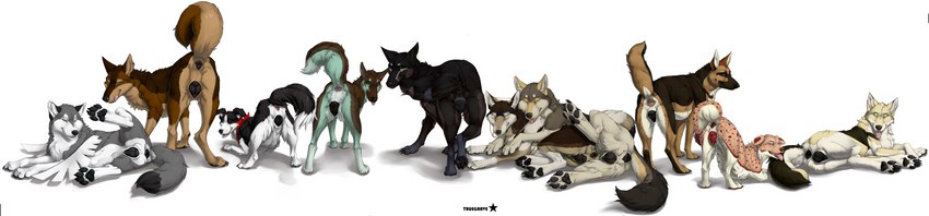 paprika, galleta, fluffygraywolf, north shepherd, independence, and etc drawn by truegrave9