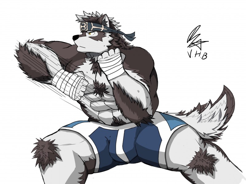 anthro body_hair brown_body brown_fur bulge chest_hair fur grey_body grey_fur hand_wraps male multicolored_body multicolored_fur muscular muscular_anthro muscular_male simple_background solo two_tone_body two_tone_fur white_background wraps vhubnh3 lifewonders tokyo_afterschool_summoners horkeu_kamui_(tas) canid canine canis mammal wolf 4:3 absurd_res hi_res signature