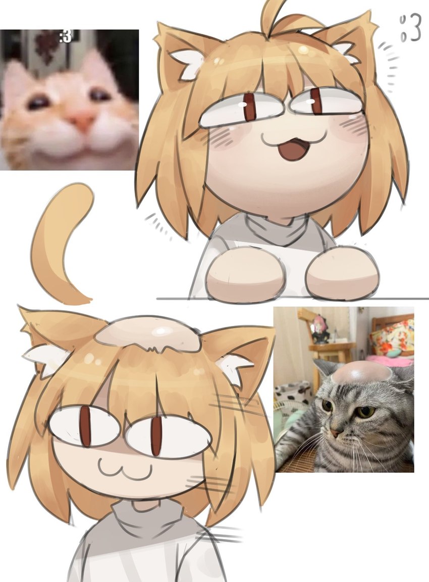 :3 antenna_hair bald balding bar_emanata big_eyes blank_stare blonde_hair blush blush_lines cat_smile clothing emanata featureless_hands female glistening glistening_eyes glistening_hair glistening_head hair hand_on_table highlights_(coloring) inner_ear_fluff light_body light_skin looking_offscreen looking_up narrowed_eyes open_mouth open_smile pupils raised_tail real red_eyes red_pupils shaved_head simple_background smile solo sweater tail topwear tuft turtleneck white_background white_clothing white_inner_ear_fluff white_sweater white_topwear yellow_tail mafurara tsukihime type-moon baldi neco-arc animal_humanoid cat_humanoid domestic_cat felid felid_humanoid feline feline_humanoid felis humanoid mammal mammal_humanoid neco_spirit digital_drawing_(artwork) digital_media_(artwork) hi_res meme photography_(artwork) redraw reference_image shaded