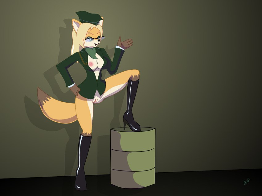 anthro areola beret blonde_hair boots bottomless breasts cleavage clothed clothing cosplay countershading exposed_breasts eyewear female footwear genitals glasses green_eyes hair hat headgear headwear high_heeled_boots high_heels knee_boots knee_highs legwear military_uniform nipples on_barrel pussy raised_leg shoes solo uniform flufdustbunny sek_studio squirrel_and_hedgehog sandra_ren canid canine fox mammal 2014 4:3 digital_media_(artwork) unfinished