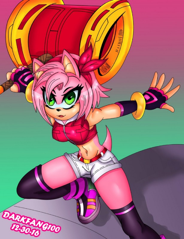 amy rose (sonic the hedgehog (series) and etc) created by darkfang100
