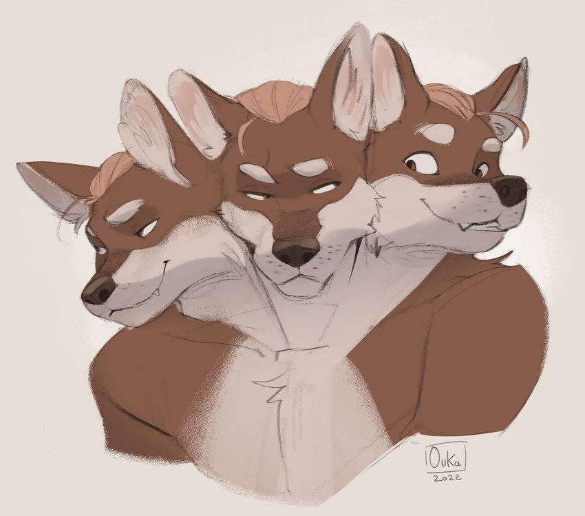 3_heads ambiguous_gender anthro conjoined conjoined_twins countershading eye_contact group looking_at_another multi_head multifur smile trio oukaarts canid canine mammal hi_res