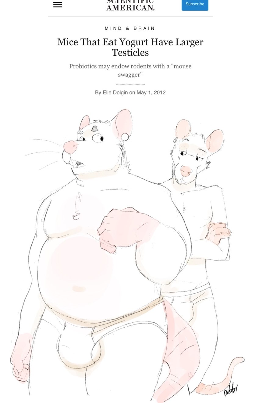 anthro balls belly bulge clothing duo fur genitals humanoid_hands male male/male moobs overweight overweight_male pink_nose text underwear white_body white_fur delsol jamie_(delsol) mammal mouse murid murine rodent 2021 english_text hi_res