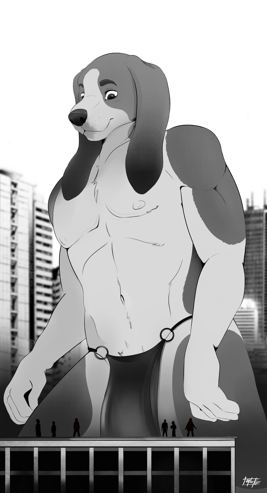 anthro black_nose bottomwear building city city_background clothed clothing extreme_size_difference eyebrows floppy_ears fur larger_anthro larger_male loincloth looking_down looking_up macro male nipples rooftop size_difference smaller_human solo topless topless_male white_body white_fur taylornoir eduk_(taylornoir) basset_hound canid canine canis domestic_dog foxhound human hunting_dog hybrid mammal scent_hound 2021 absurd_res artist_name black_and_white digital_drawing_(artwork) digital_media_(artwork) hi_res monochrome portrait shaded signature three-quarter_portrait